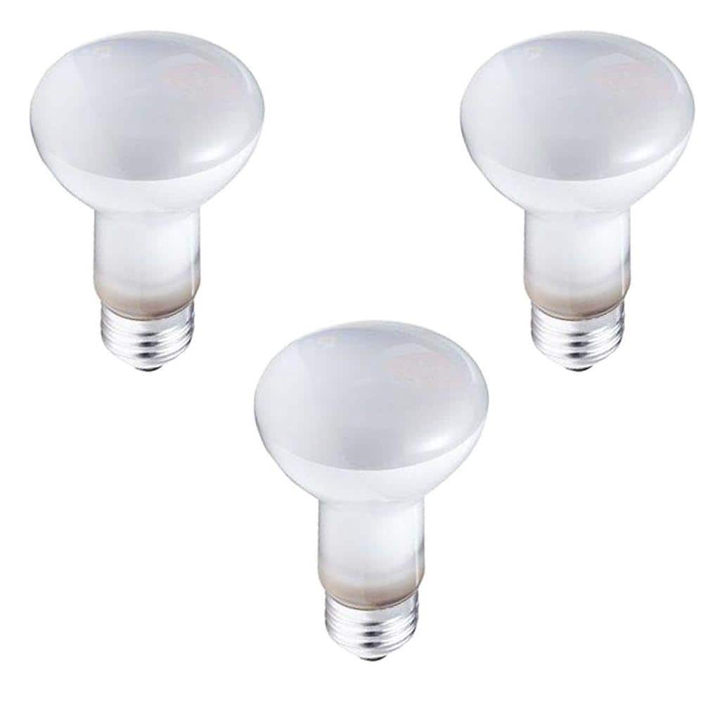Philips DuraMax 45-Watt Incandescent R20 Dimmable Flood/Spot Light Bulb (3-Pack)