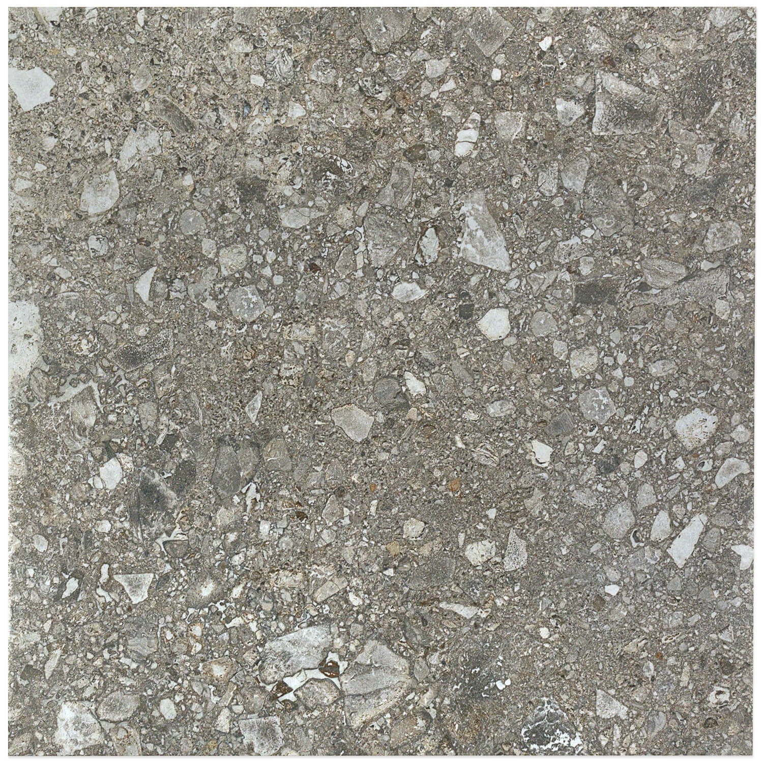 Rizo Antracite Dark Gray 24x24 Terrazzo Look Semi-Polished Porcelain Tile - Image 3