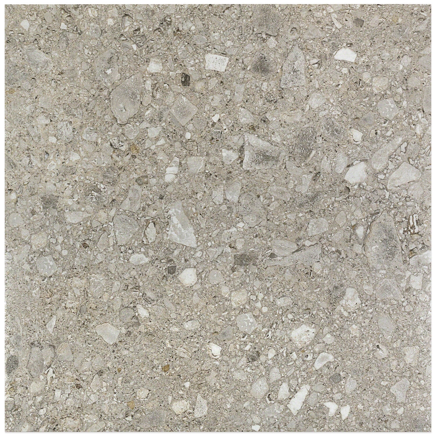Rizo Tortora Gray 24x24 Terrazzo Look Semi-Polished Porcelain Tile - Image 3