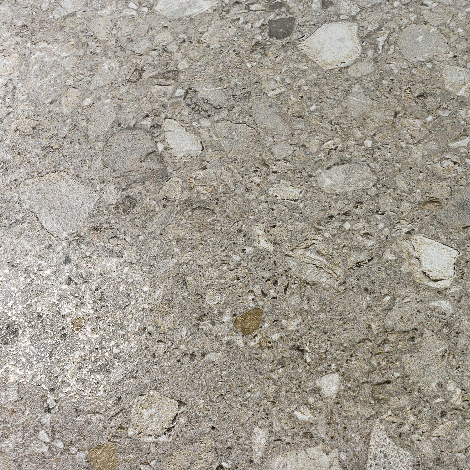 Rizo Tortora Gray 24x24 Terrazzo Look Semi-Polished Porcelain Tile - Image 6