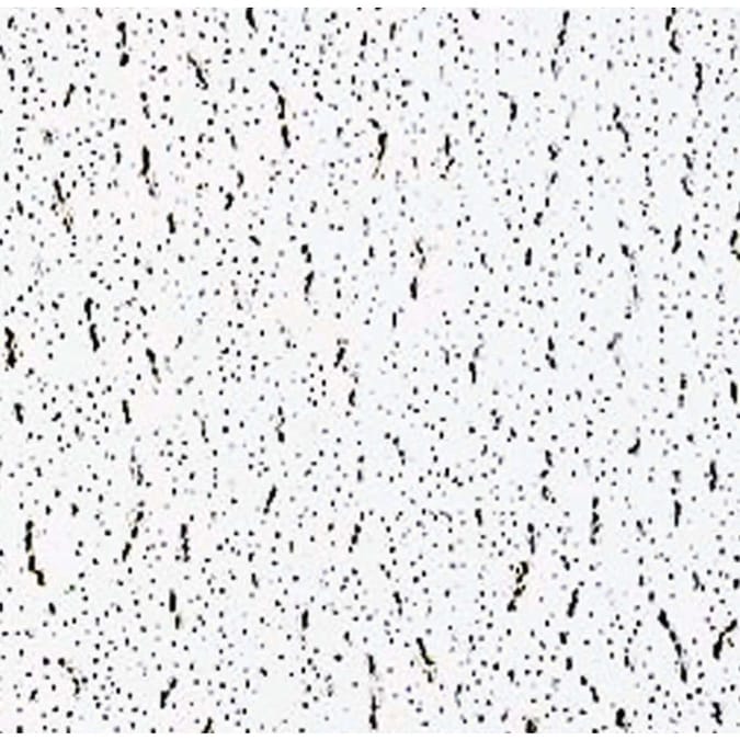 SpectraTile 2-ft x 2-ft White PVC Drop Ceiling Tile (12-Pack, 48-sq ft / Case)