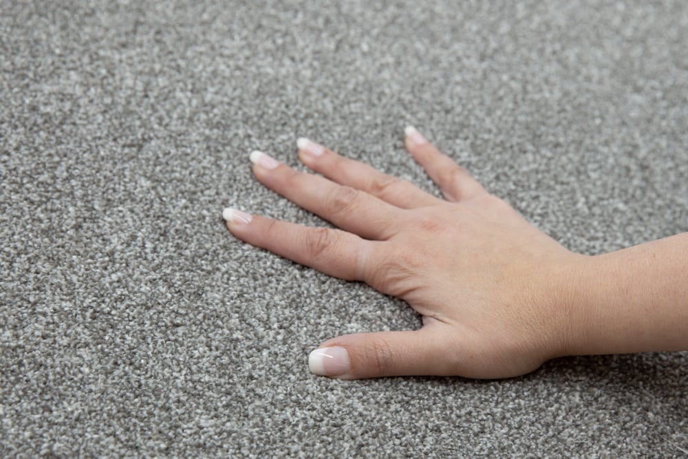 STAINMASTER Beatitude Elsewhere Textured Carpet Sample (Interior), 8-in x 8-in - Image 5