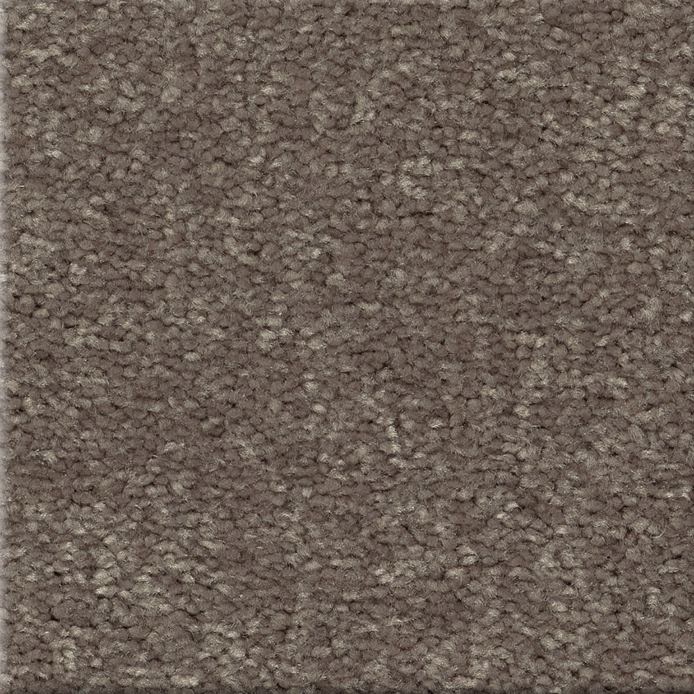 STAINMASTER Essentials Blue Diamonds I 12-ft Pewter Textured Carpet Sample (Interior)
