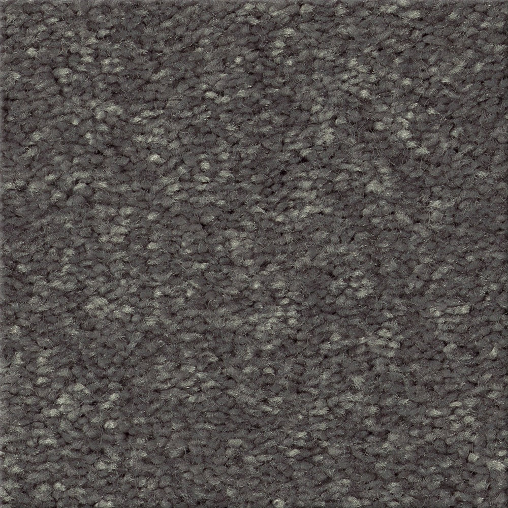 STAINMASTER Essentials Blue Diamonds I 15-ft Iron Textured Carpet (Indoor)