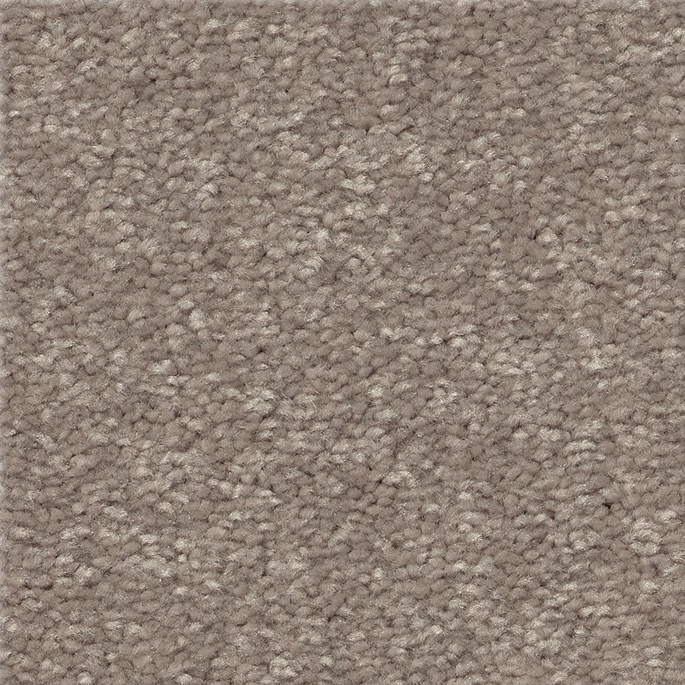 STAINMASTER Essentials Blue Diamonds I 15-ft Tree Bark Textured Indoor Carpet, 48.8-oz, Polyester