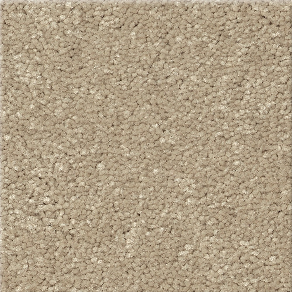 STAINMASTER Essentials Blue Diamonds I Raw Lumber 8-in x 8-in Polyester Textured Indoor Carpet Sample