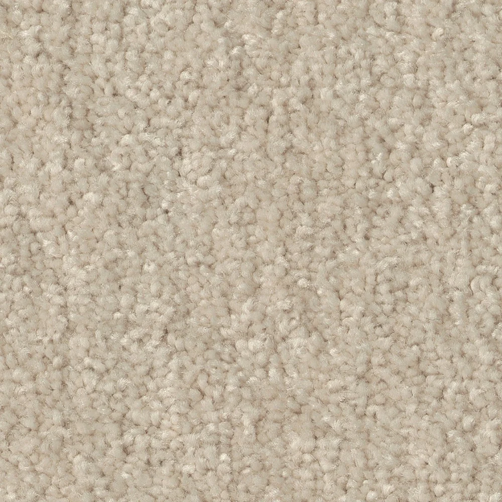STAINMASTER Essentials Blue Diamonds II 12-ft Bleached Textured Carpet Sample (Interior)
