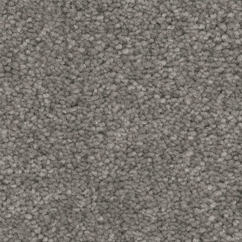 STAINMASTER Essentials Blue Diamonds II 12-ft Concrete Textured Indoor Carpet