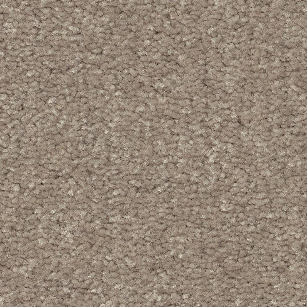 STAINMASTER Essentials Blue Diamonds II 12-ft Natural Contour Textured Indoor Carpet