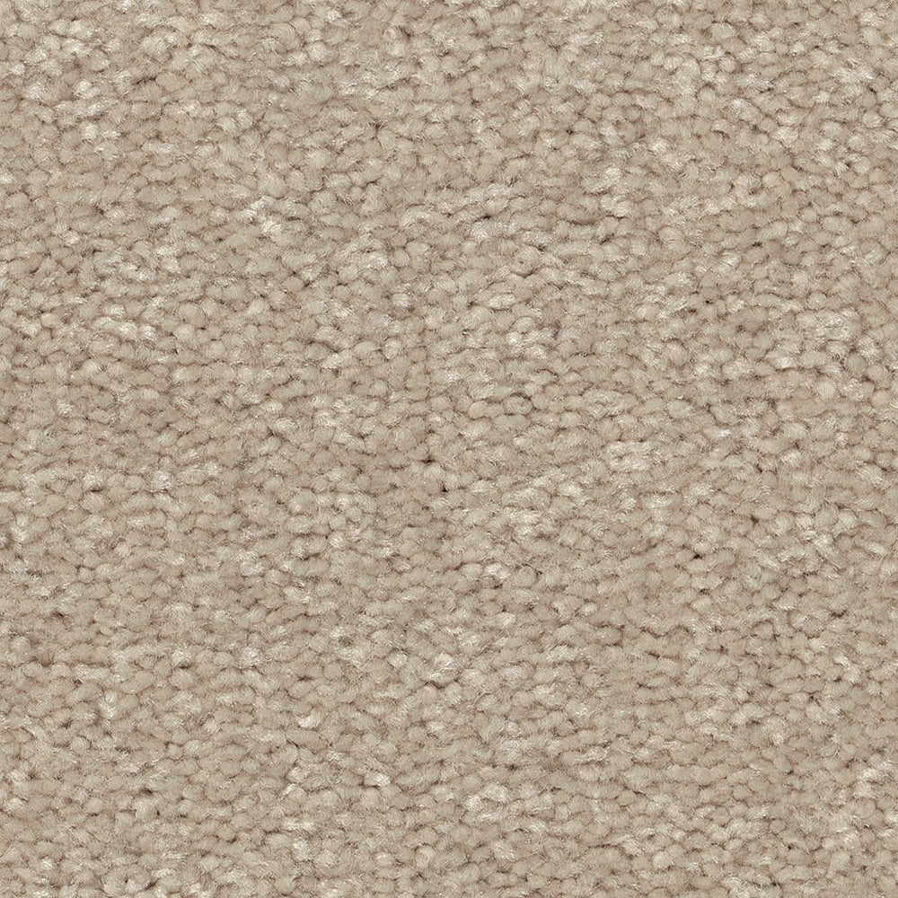 STAINMASTER Essentials Blue Diamonds II Dreamy 8-in x 8-in Textured Carpet Sample (Interior)