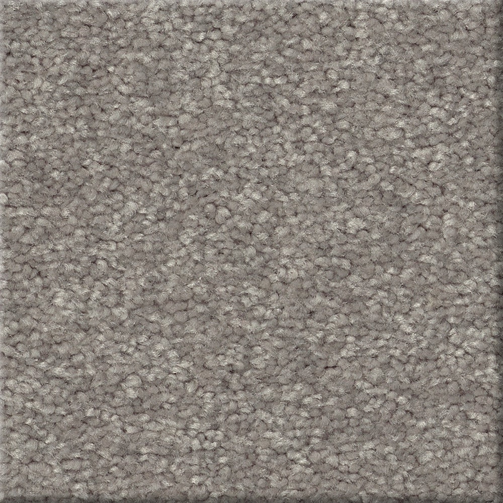 STAINMASTER Essentials Blue Diamonds III 12-ft Dusty Trail Textured Carpet Sample (Interior)