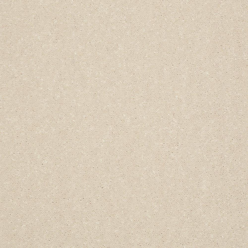 STAINMASTER Essentials Intuition I 12-ft Feather Down Textured Carpet Sample (Interior)