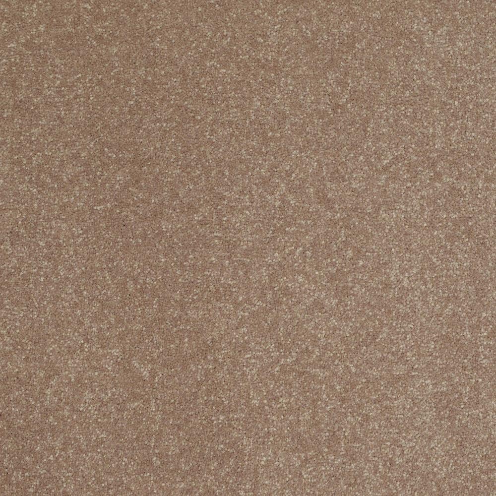 STAINMASTER Essentials Intuition I 12-ft Wheat Bread Textured Carpet Sample (Interior)