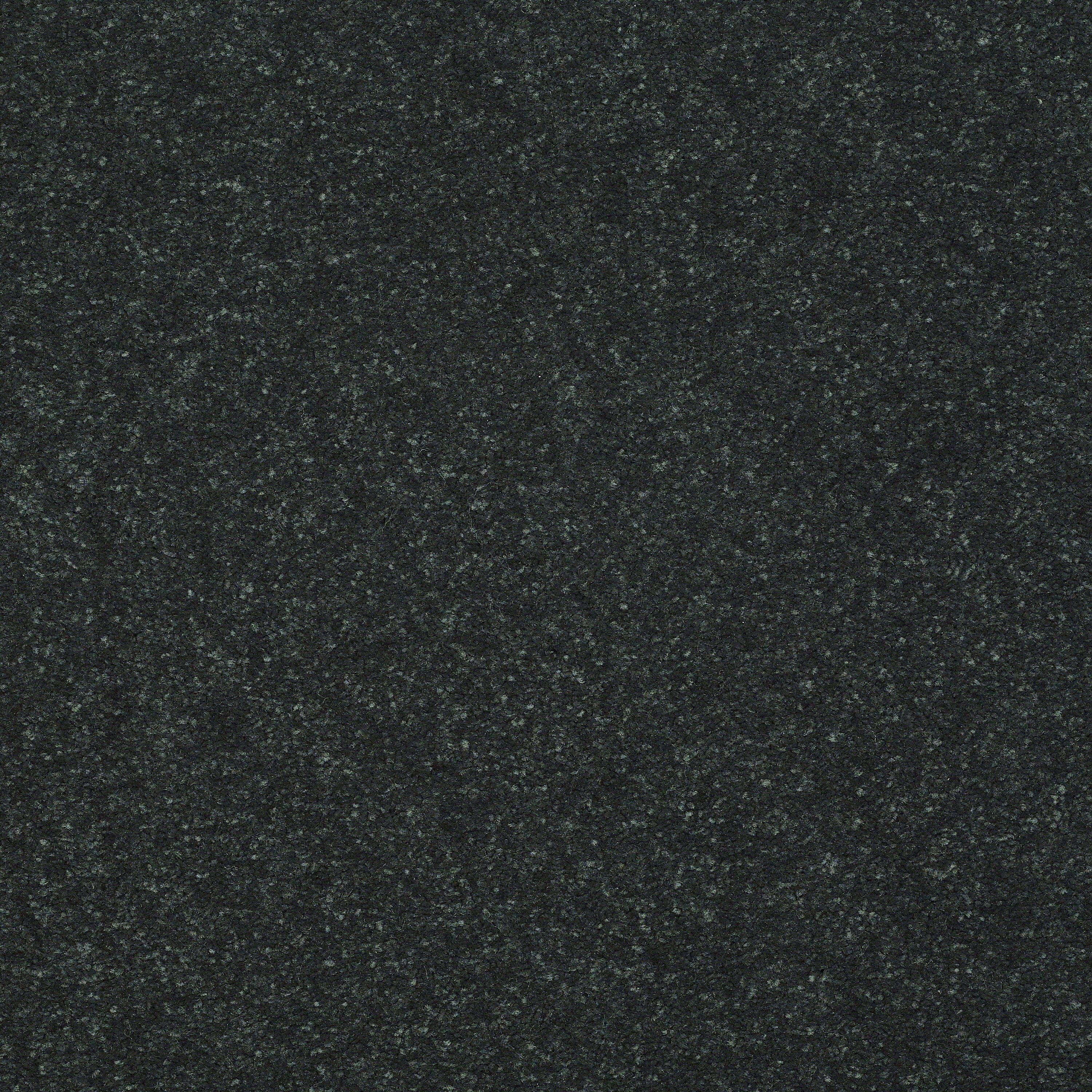 STAINMASTER Essentials Intuition II 12-ft Charcoal Textured Carpet Sample (Interior)
