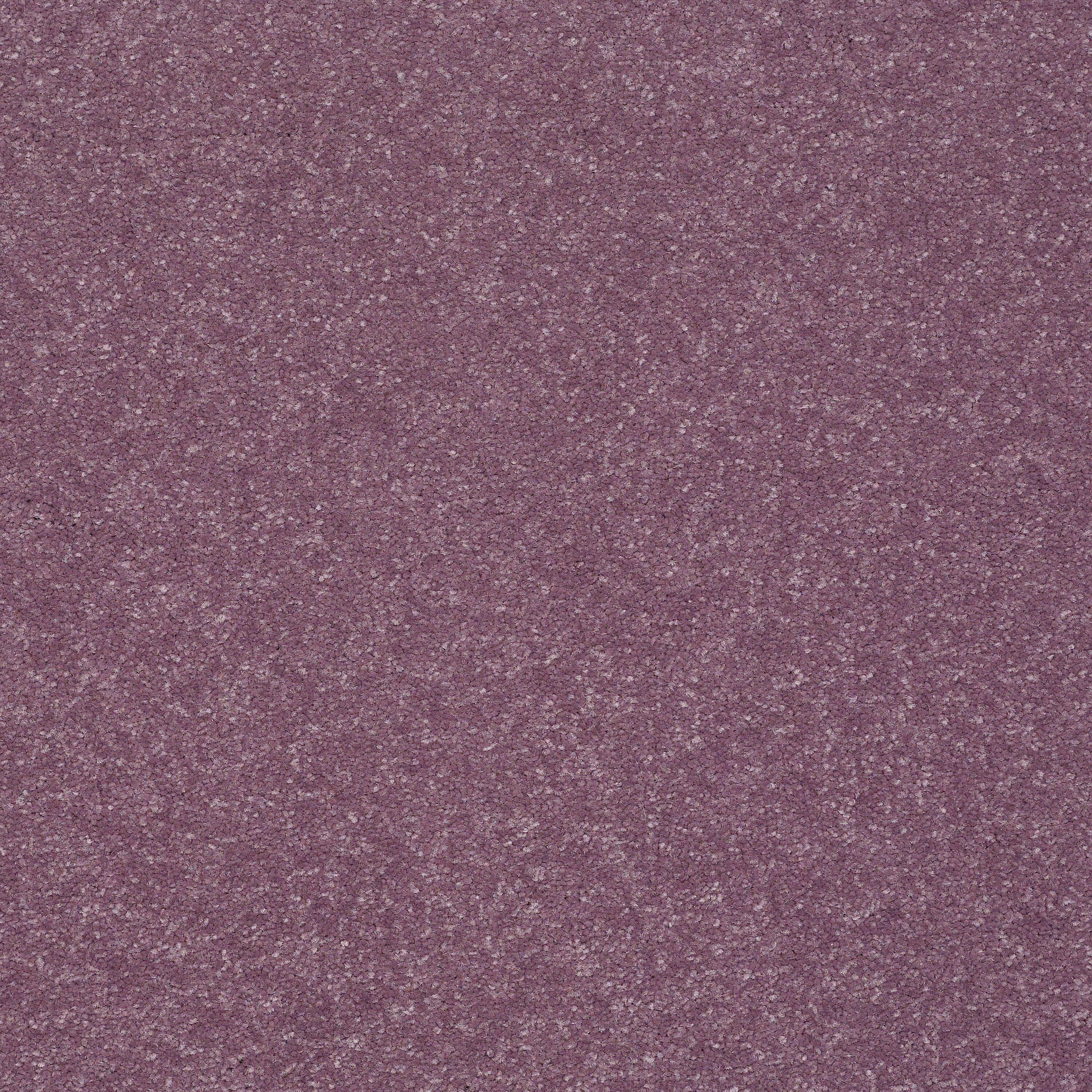 STAINMASTER Essentials Intuition II 12-ft Lavender Textured Carpet Sample (Interior)