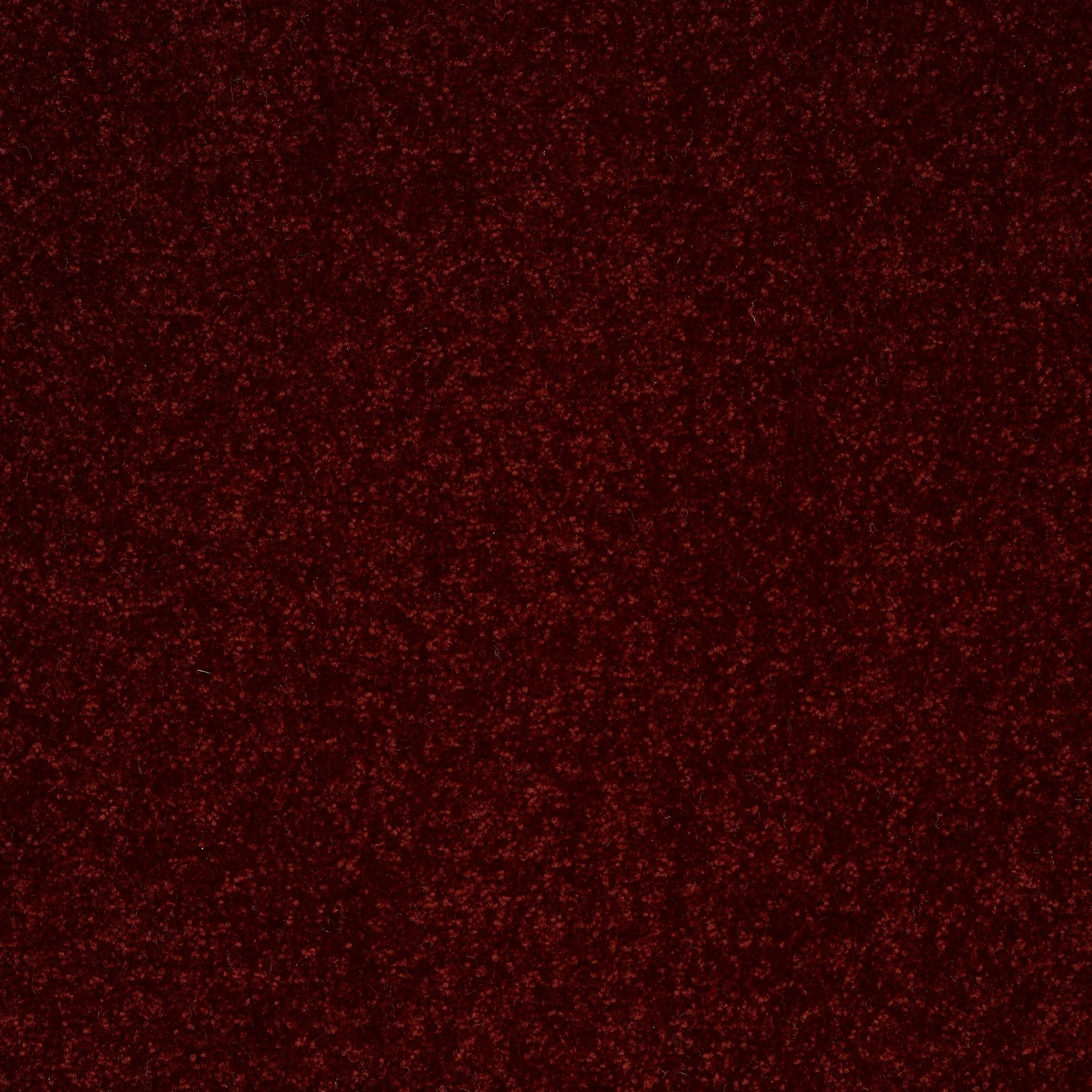 STAINMASTER Essentials Intuition III 12-ft Apache Red Textured Carpet Sample (Interior)