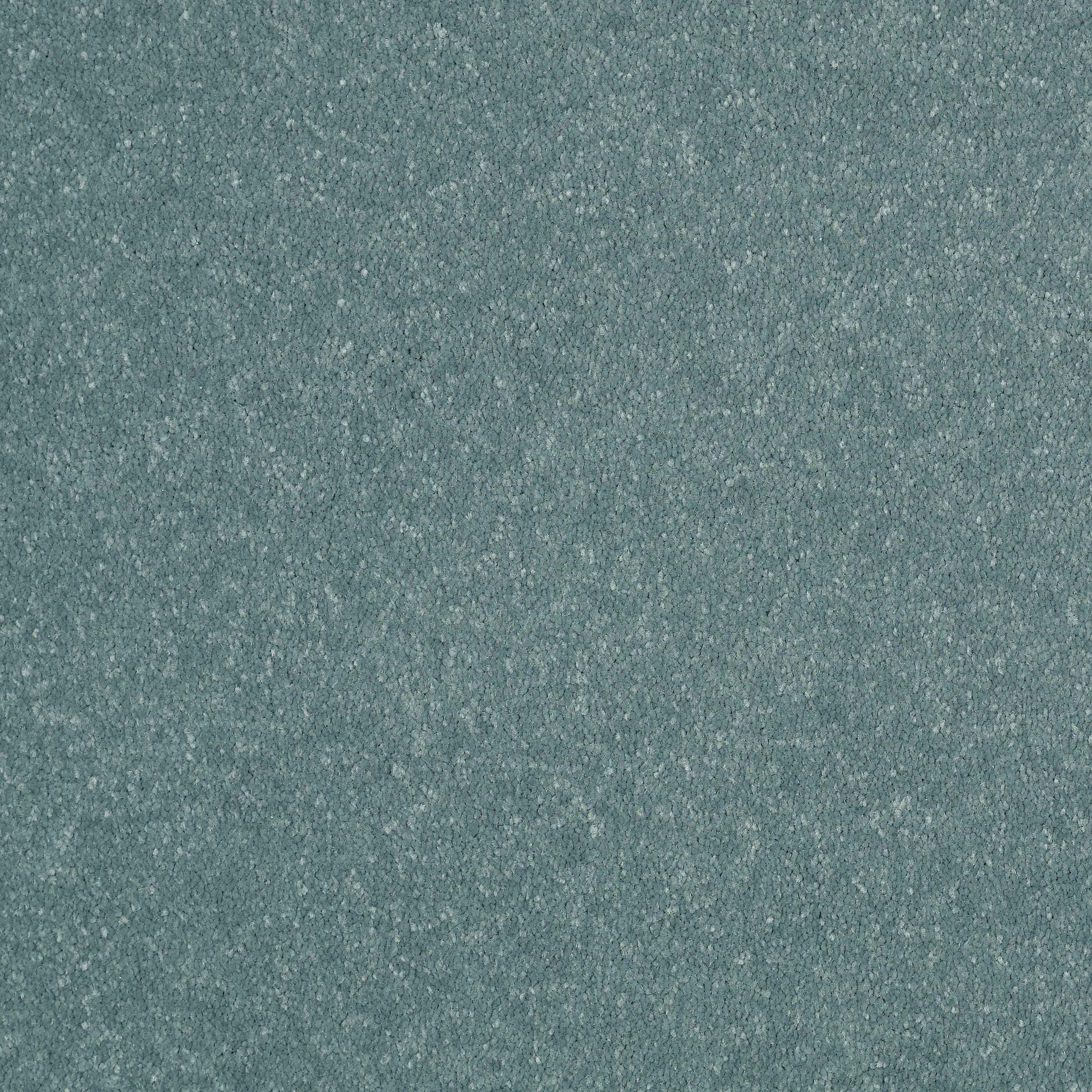 STAINMASTER Essentials Intuition III 12-ft Bahama Breeze Textured Carpet Sample (Interior)