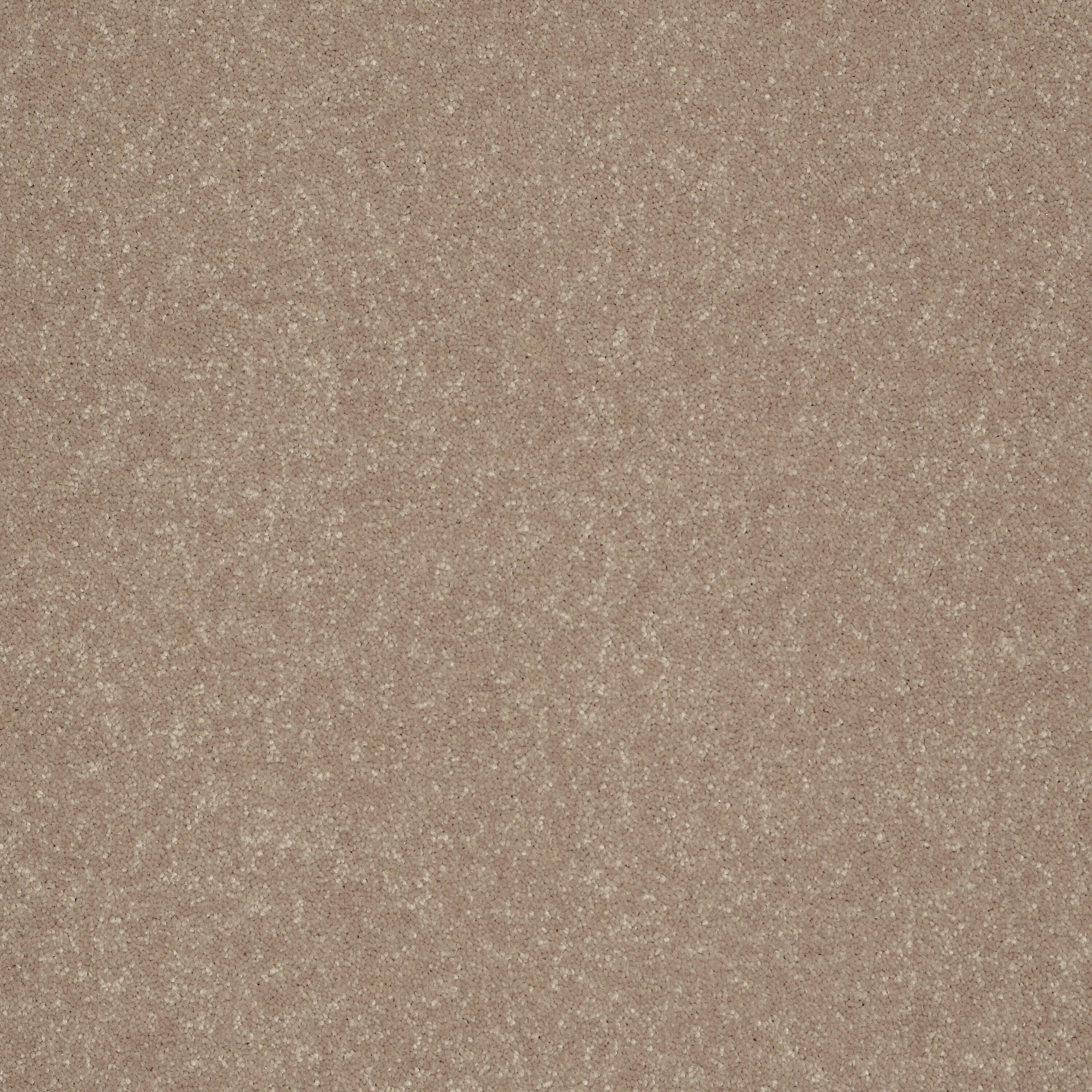 STAINMASTER Essentials Intuition III 12-ft Crisp Khaki Textured Carpet Sample (Interior)