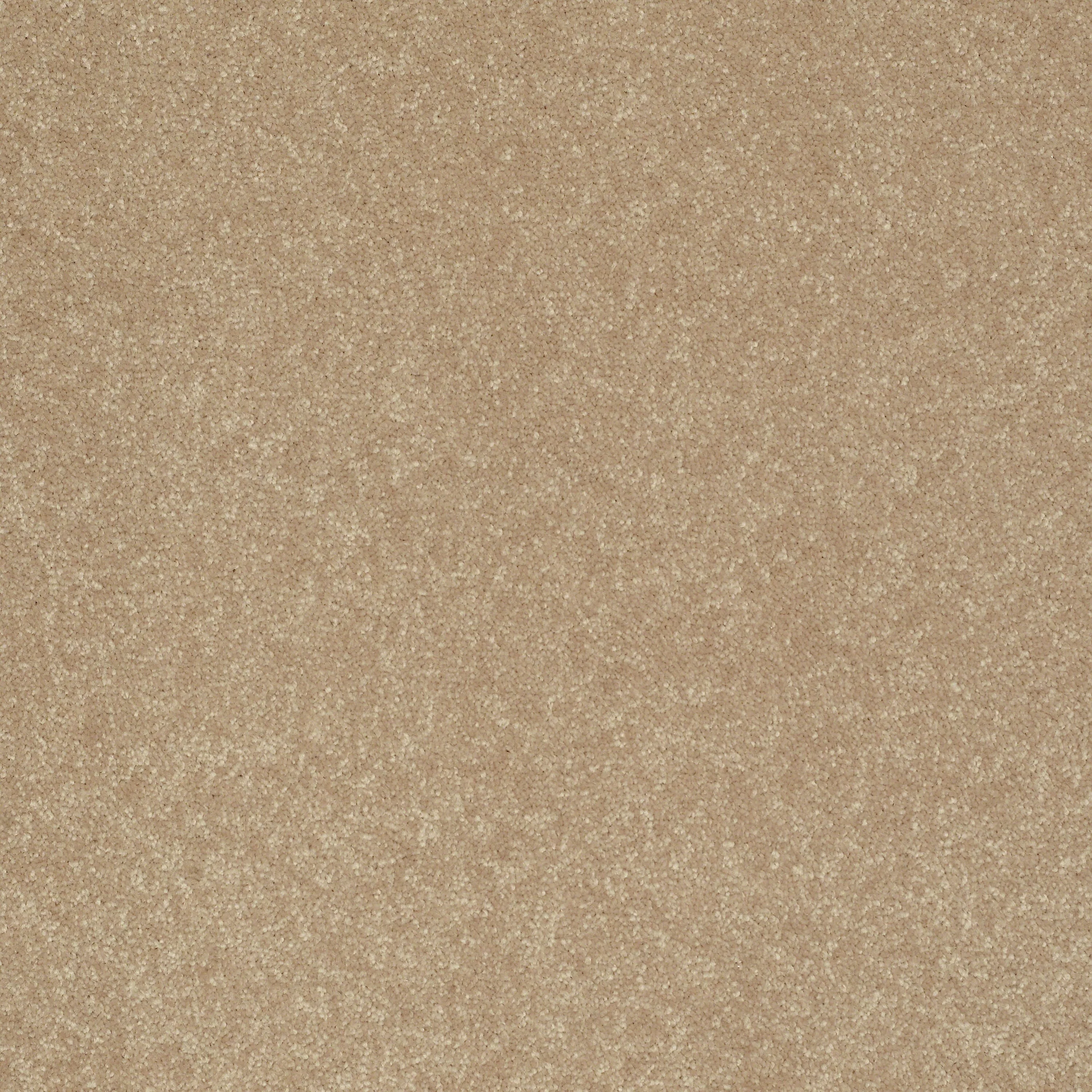 STAINMASTER Essentials Intuition III 12-ft Golden Lab Textured Carpet Sample (Interior)