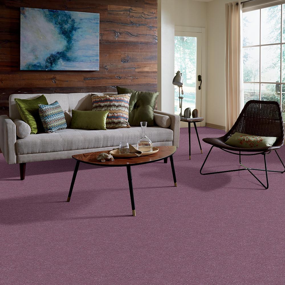 STAINMASTER Essentials Intuition III 12-ft Lavender Textured Carpet Sample (Interior) - Image 5