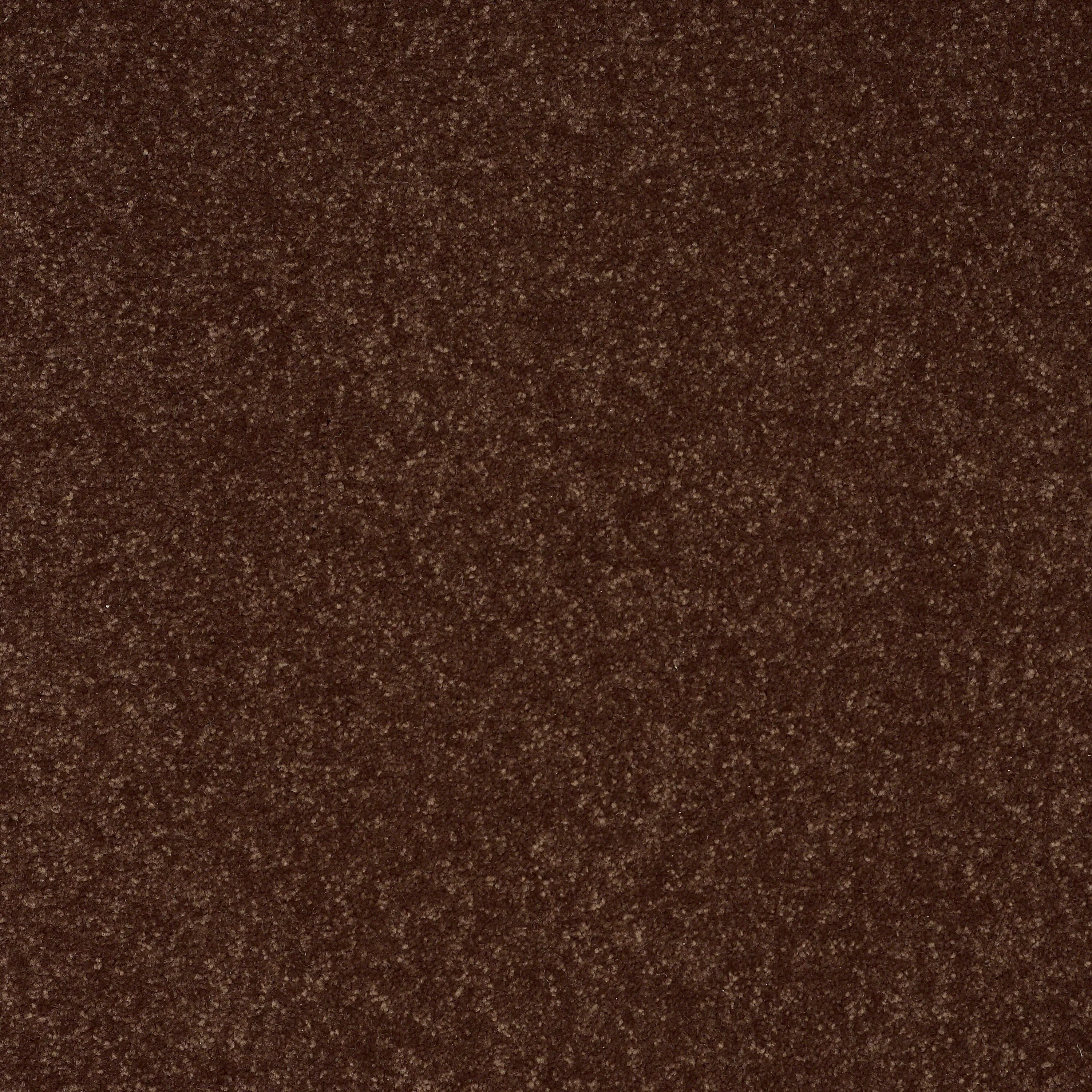 STAINMASTER Essentials Intuition III 12-ft Raisin Textured Carpet Sample (Interior)