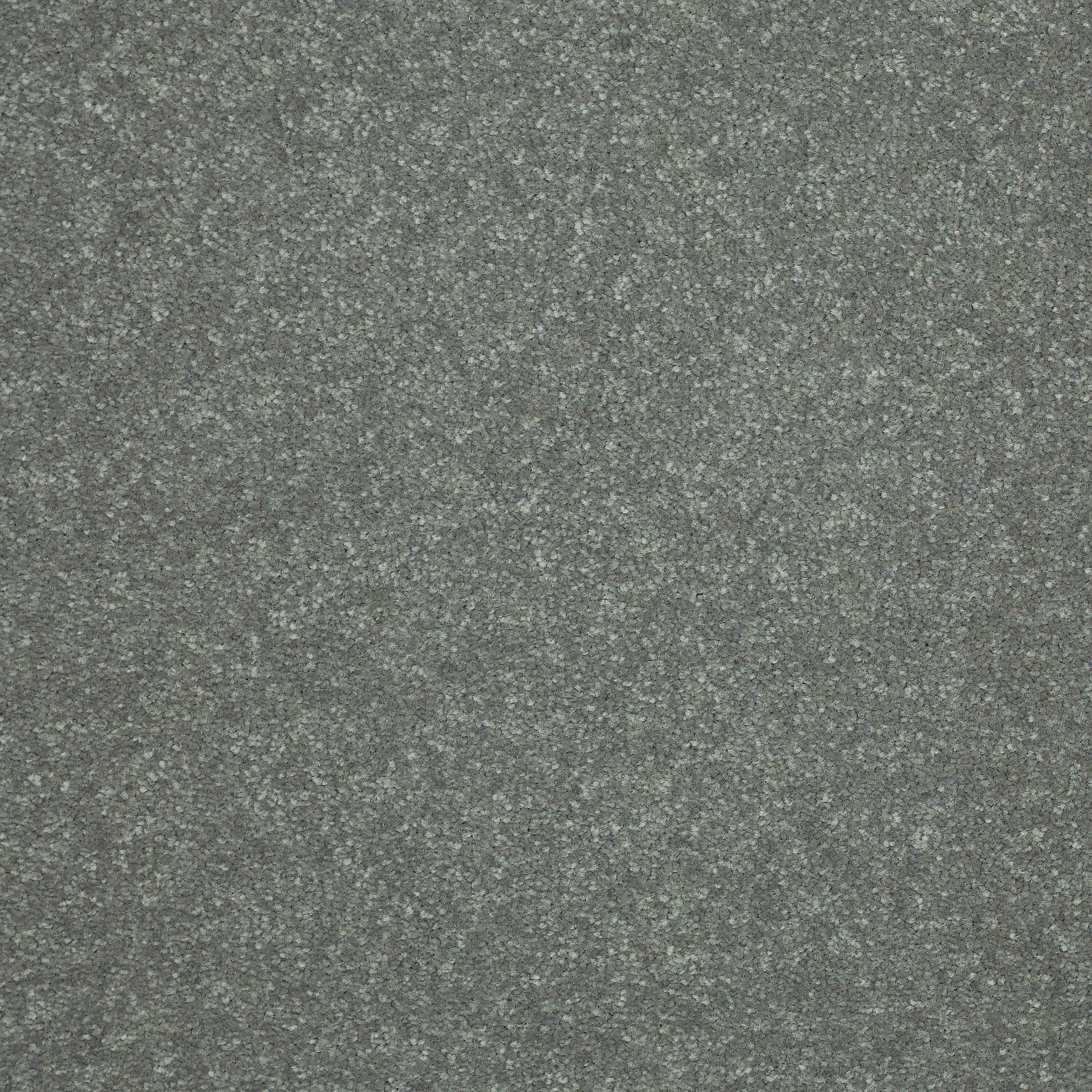 STAINMASTER Essentials Intuition III 12-ft Thunder Cloud Textured Carpet Sample (Interior)