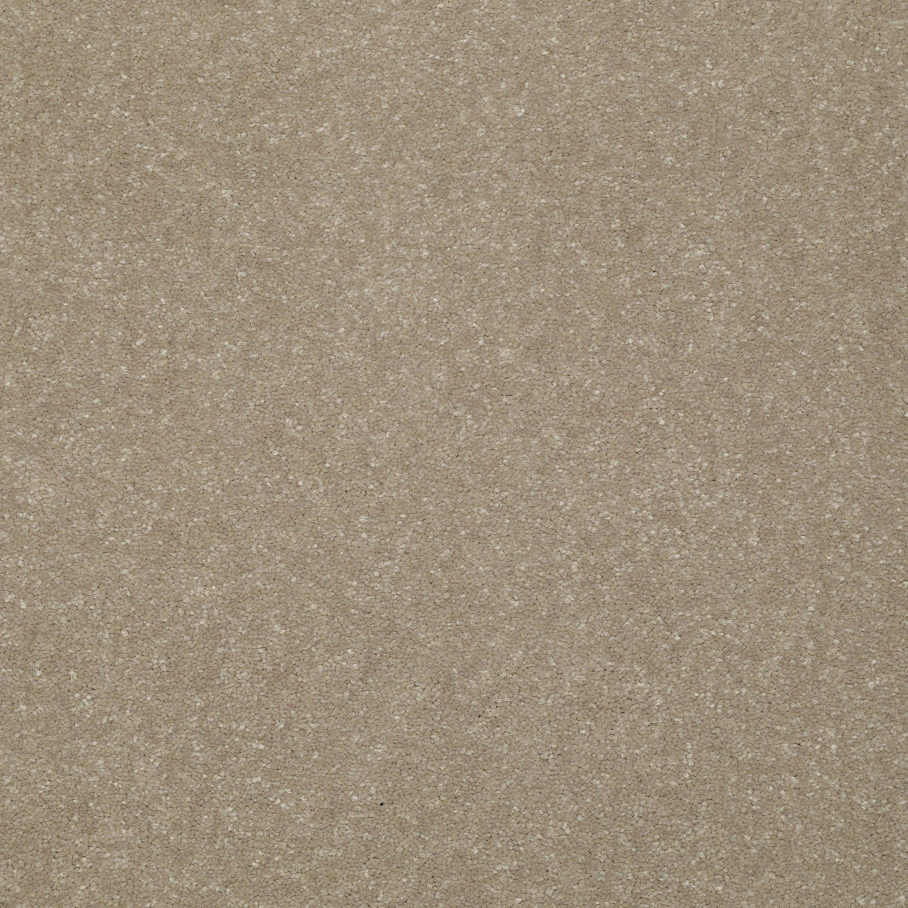 STAINMASTER Essentials Intuition III 12-ft Wheat Bread Textured Carpet Sample (Interior)