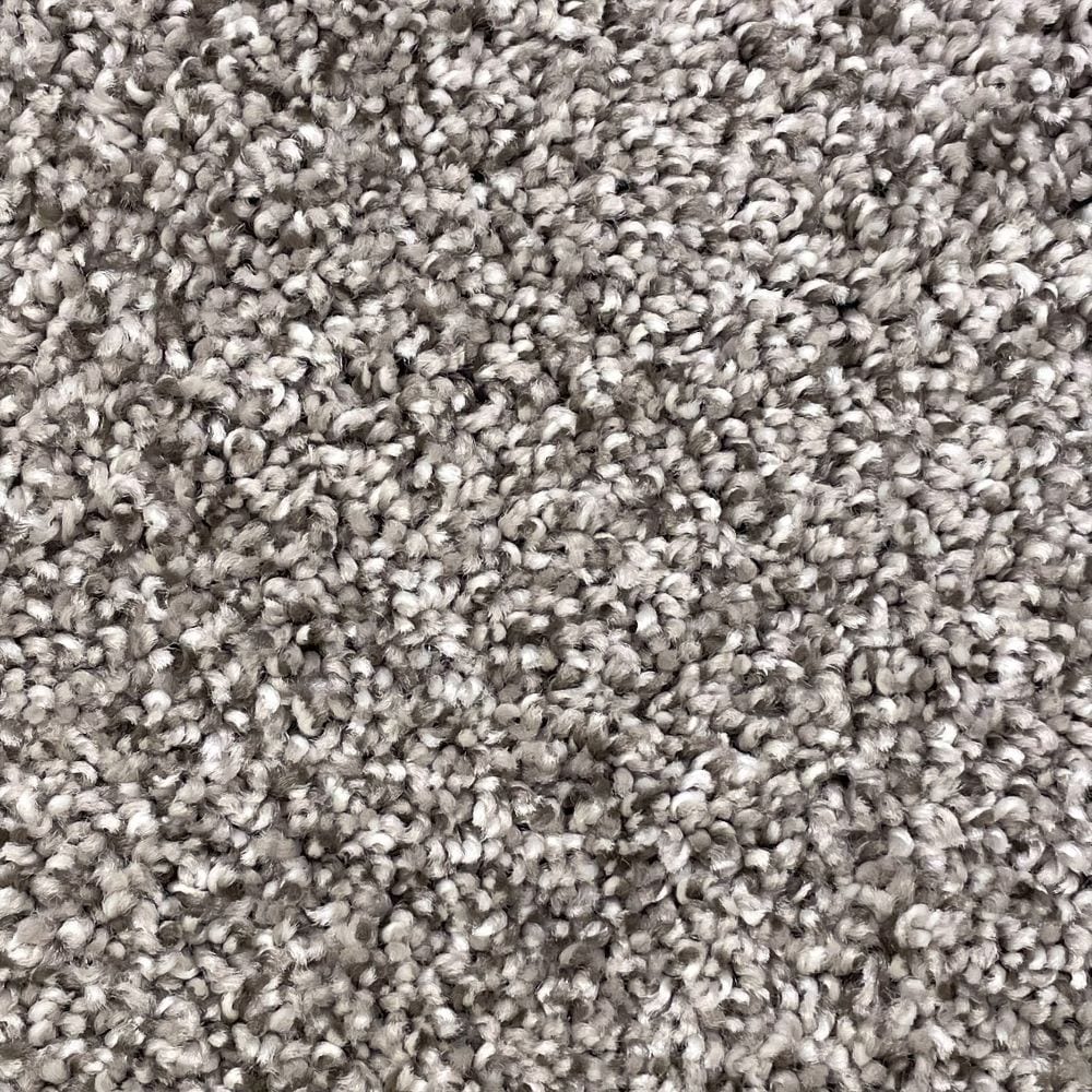 STAINMASTER Essentials Notorious Gaucho Textured Indoor Carpet — 12-ft Roll Width, 36-oz Face Weight