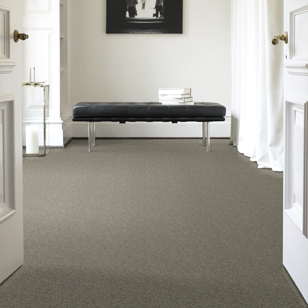 STAINMASTER PetProtect Baxter I Bentley Textured Carpet (Indoor) — 12-ft Roll Width - Image 2