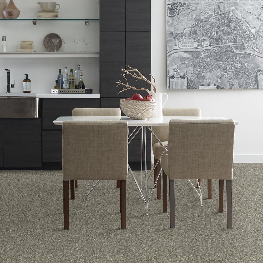 STAINMASTER PetProtect Baxter I Bentley Textured Carpet (Indoor) — 12-ft Roll Width - Image 3