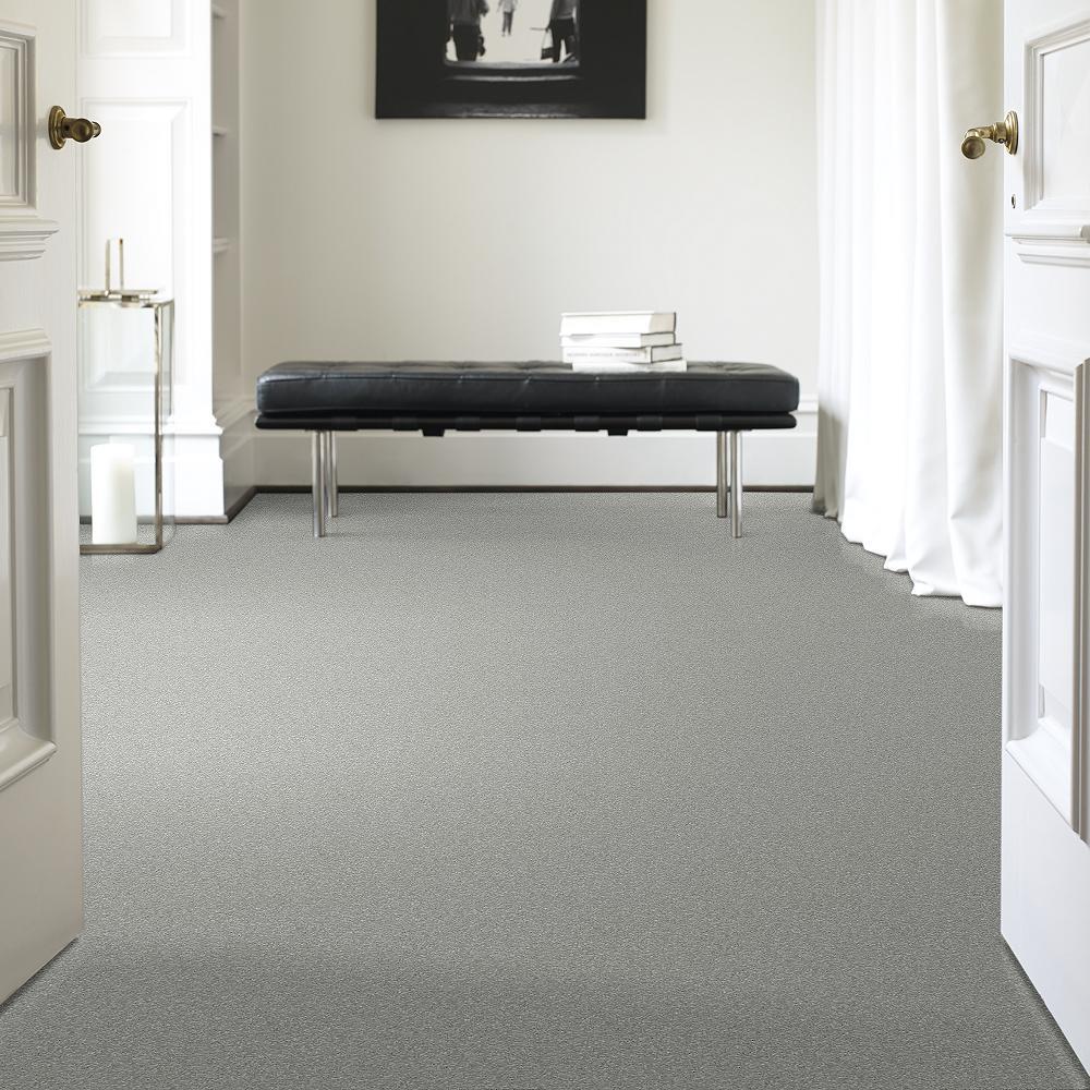 STAINMASTER PetProtect Baxter I Bobo Textured Indoor Carpet, 12-ft Roll Width - Image 2