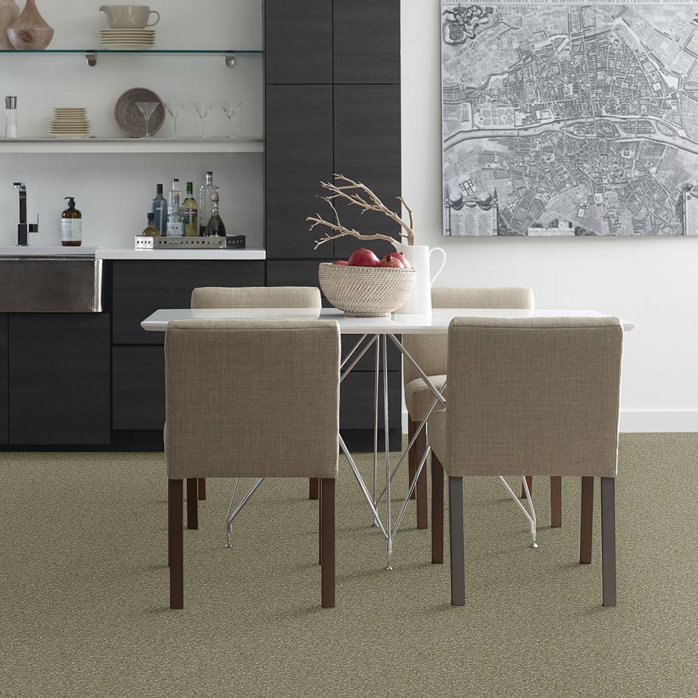 STAINMASTER PetProtect Baxter I Buddy Textured Indoor Carpet, 12-ft Roll Width - Image 3