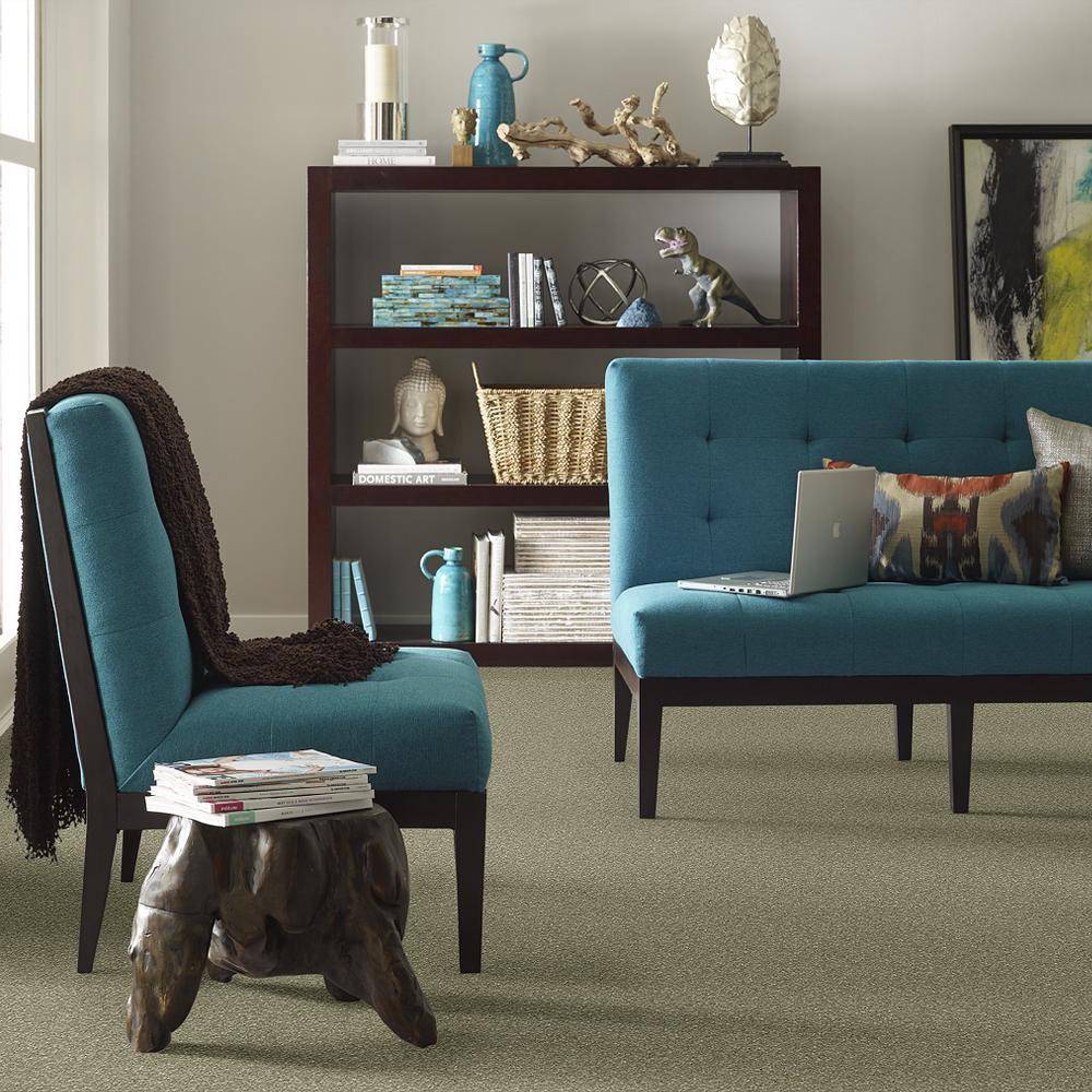 STAINMASTER PetProtect Baxter I Buddy Textured Indoor Carpet, 12-ft Roll Width - Image 4
