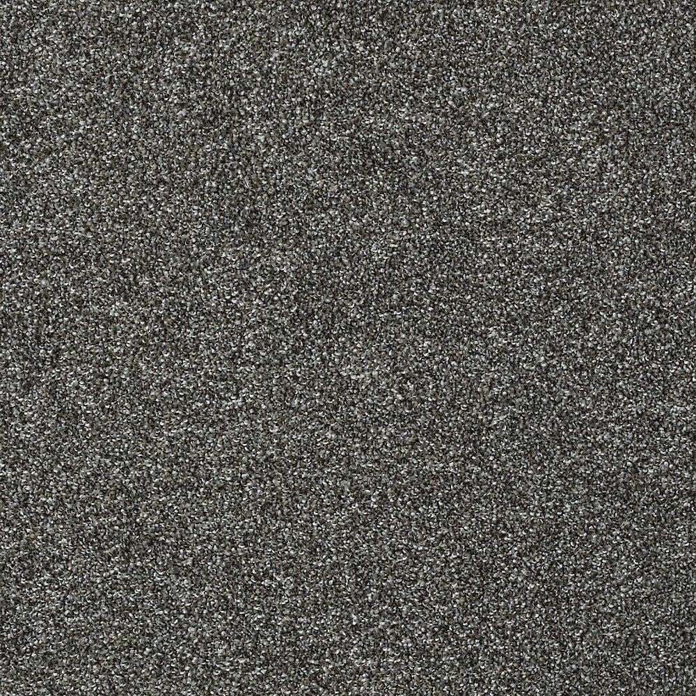 STAINMASTER PetProtect Baxter I Charlie Textured Carpet (Indoor)