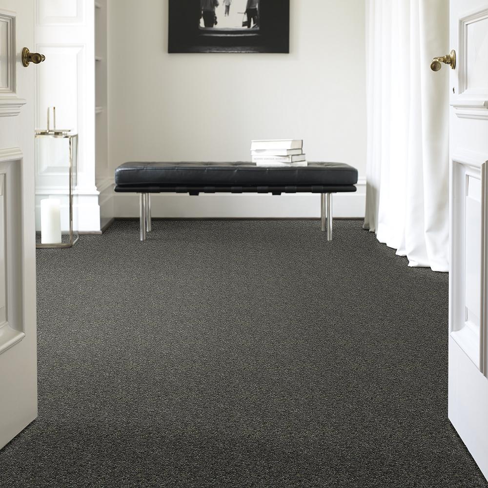 STAINMASTER PetProtect Baxter I Charlie Textured Carpet (Indoor) - Image 2
