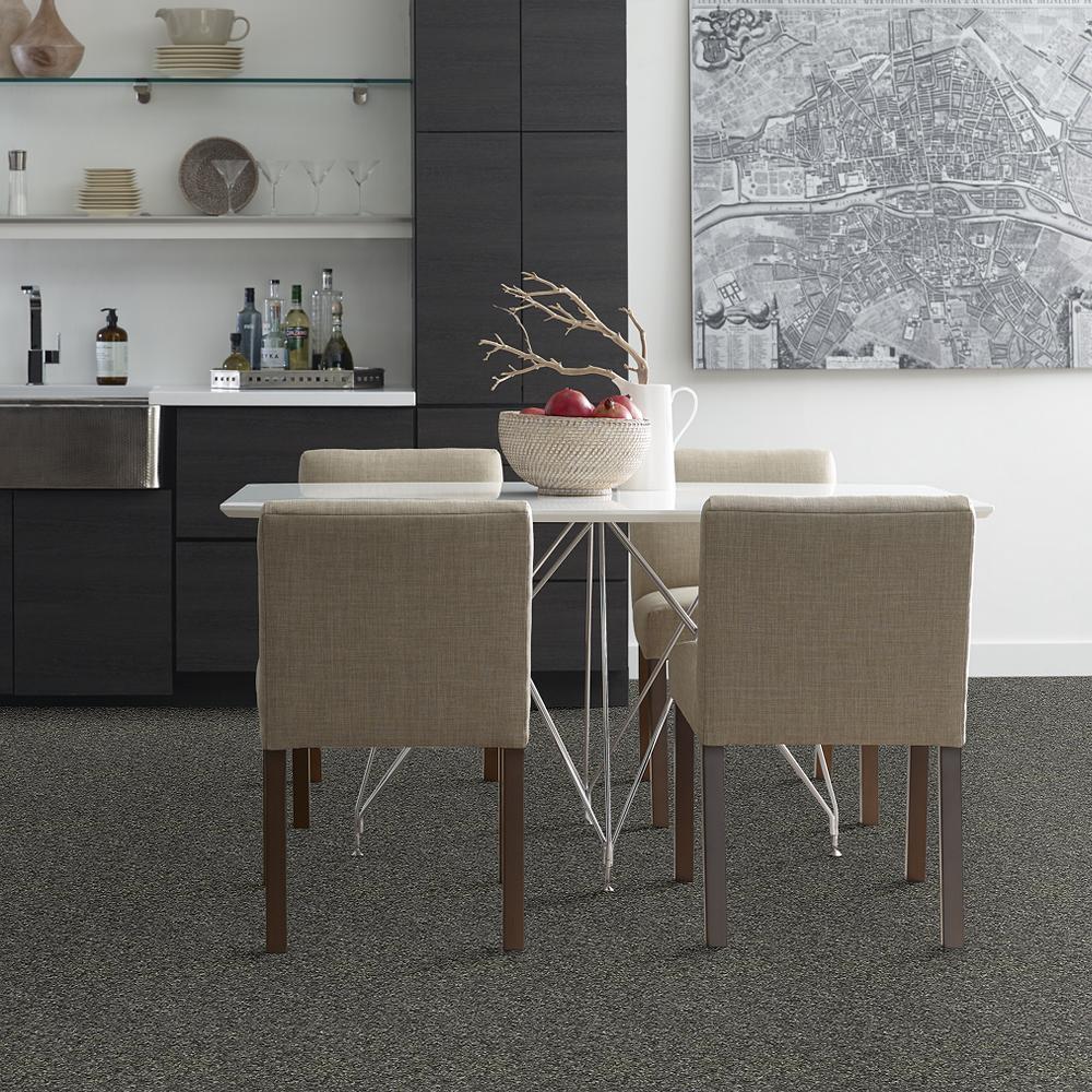 STAINMASTER PetProtect Baxter I Charlie Textured Carpet (Indoor) - Image 3