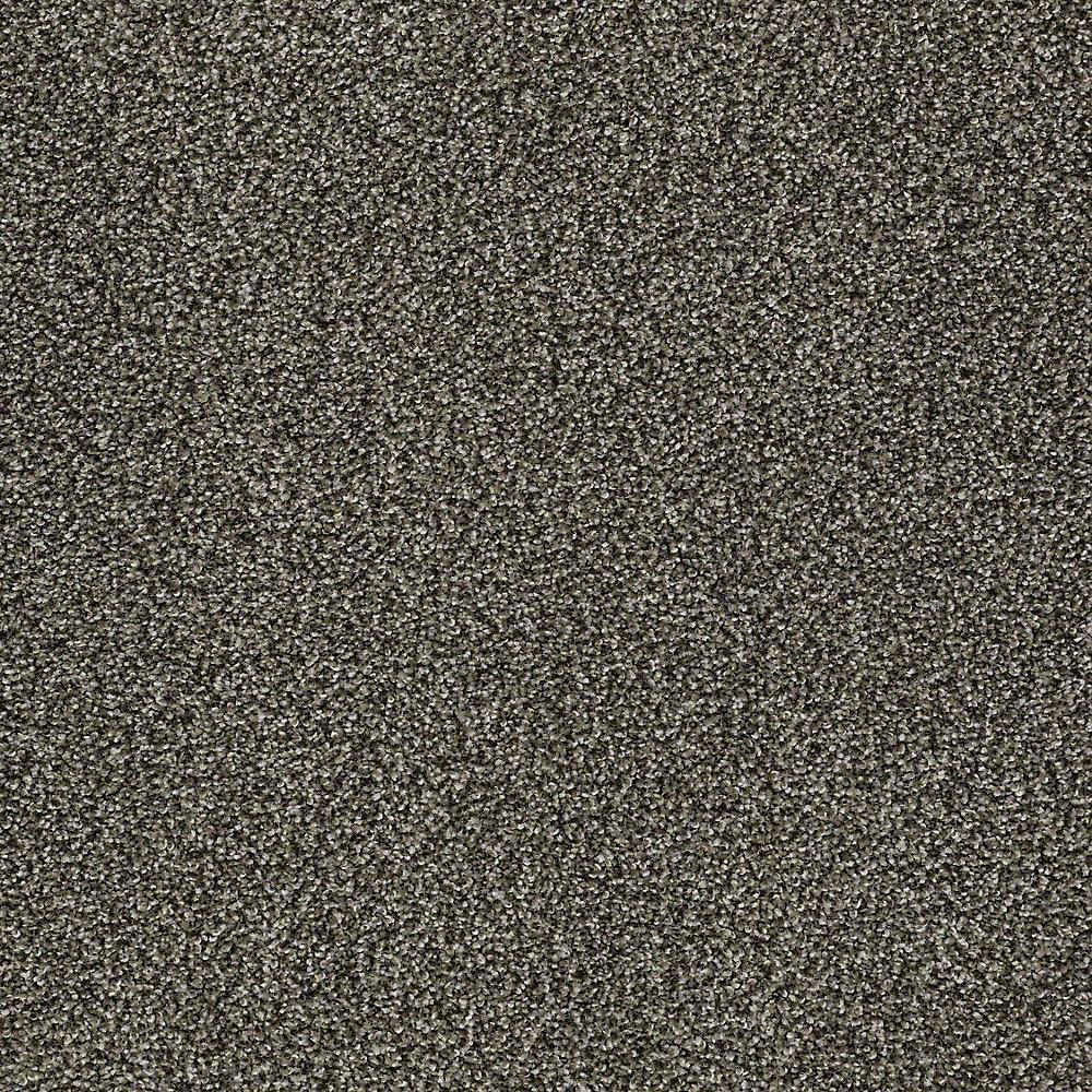 STAINMASTER PetProtect Baxter I Doberman Textured Carpet (Indoor) - 12-ft Roll Width