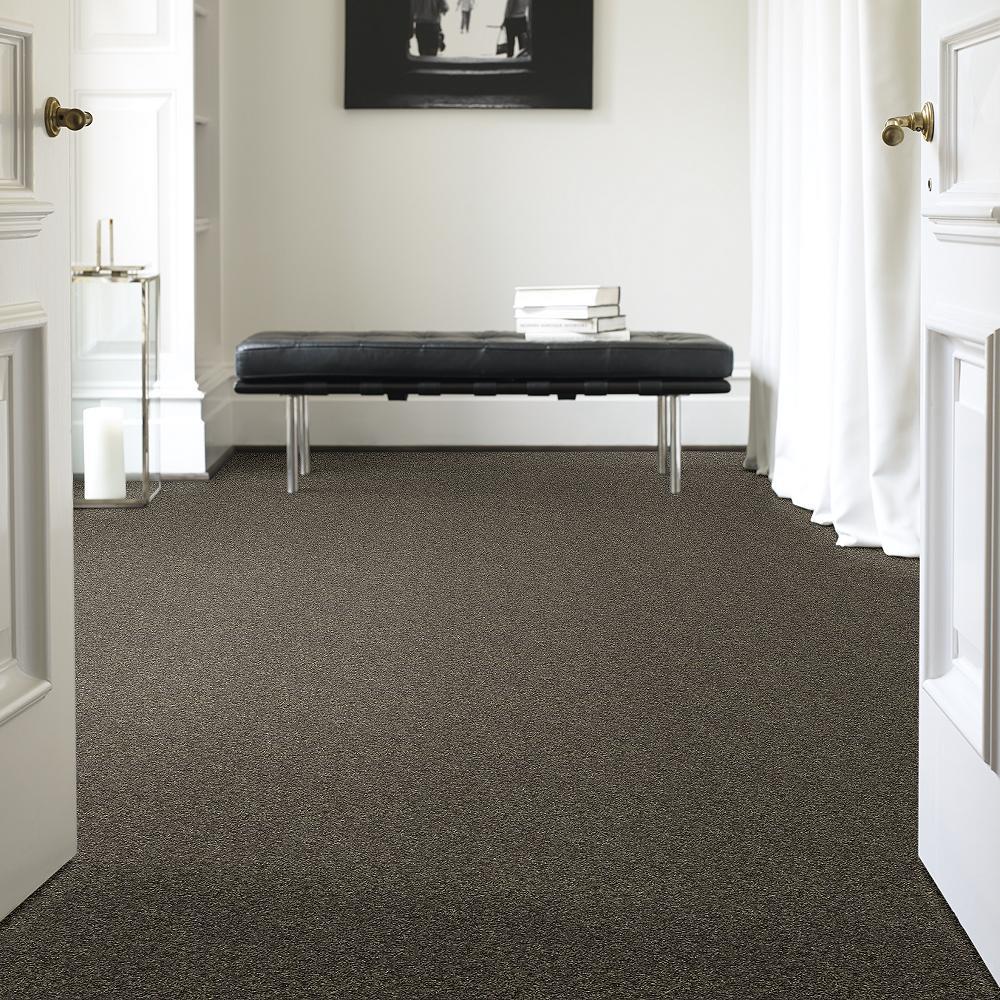STAINMASTER PetProtect Baxter I Doberman Textured Carpet (Indoor) - 12-ft Roll Width - Image 2