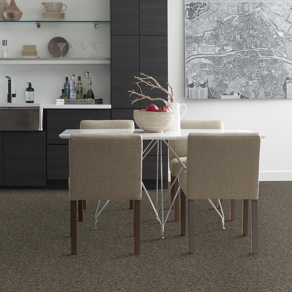 STAINMASTER PetProtect Baxter I Doberman Textured Carpet (Indoor) - 12-ft Roll Width - Image 3