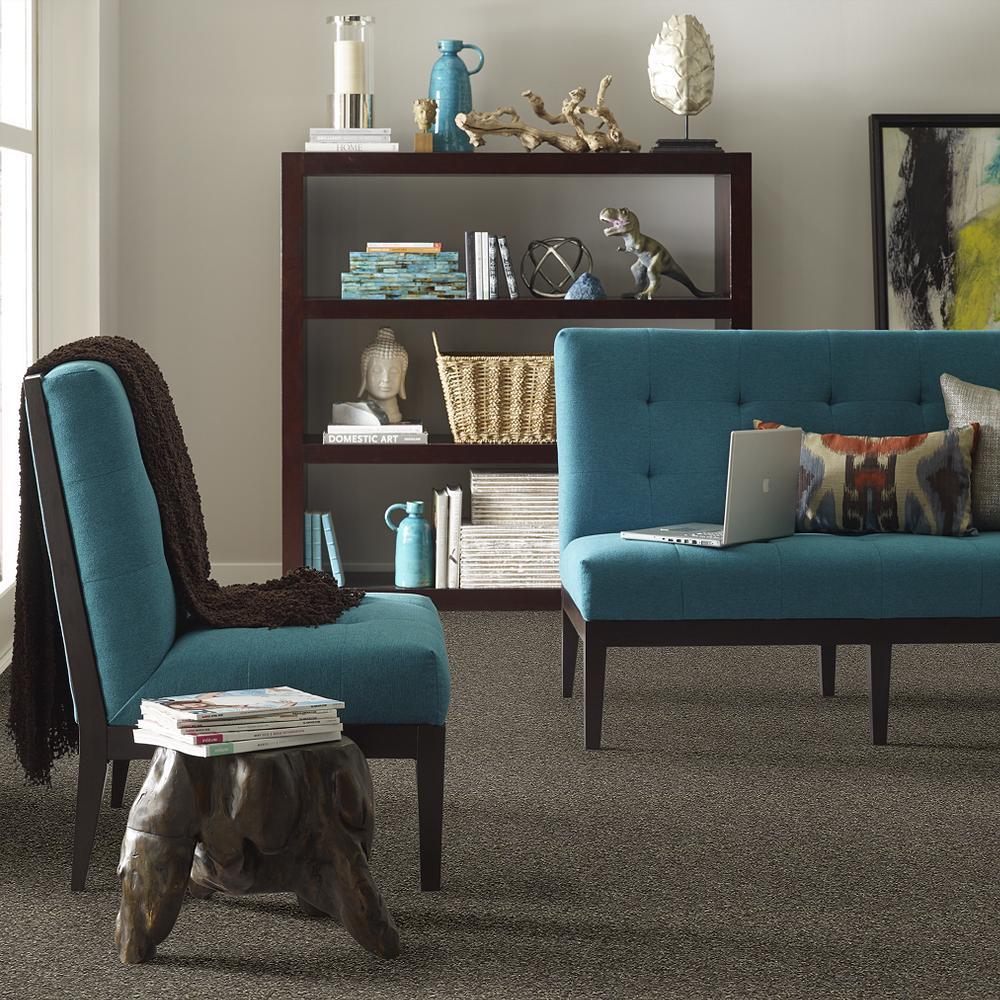 STAINMASTER PetProtect Baxter I Doberman Textured Carpet (Indoor) - 12-ft Roll Width - Image 4