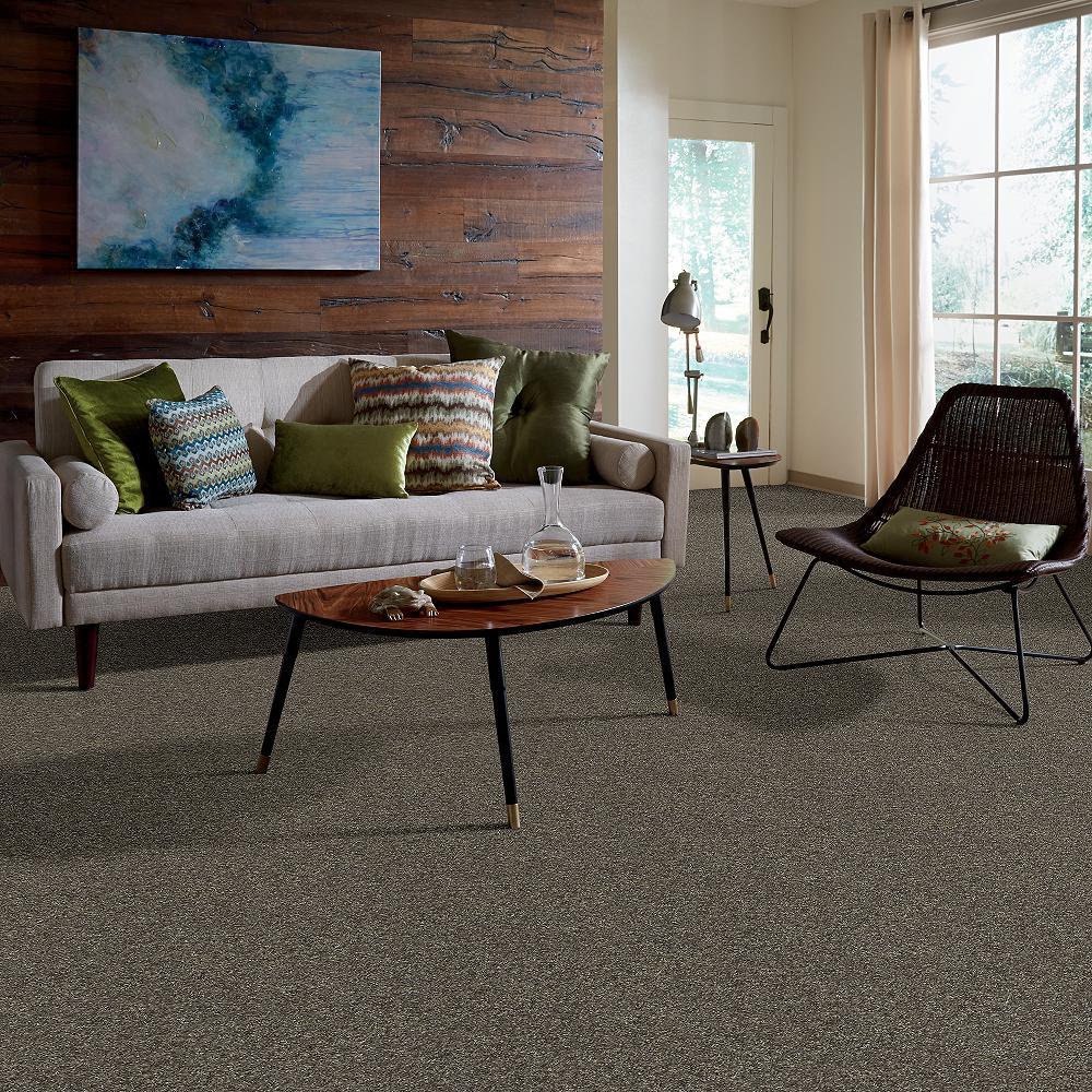 STAINMASTER PetProtect Baxter I Doberman Textured Carpet (Indoor) - 12-ft Roll Width - Image 5