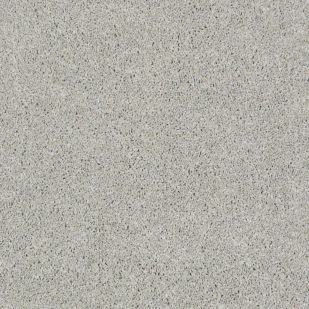 STAINMASTER PetProtect Baxter I Gizmo Textured Indoor Carpet, 12-ft Roll Width