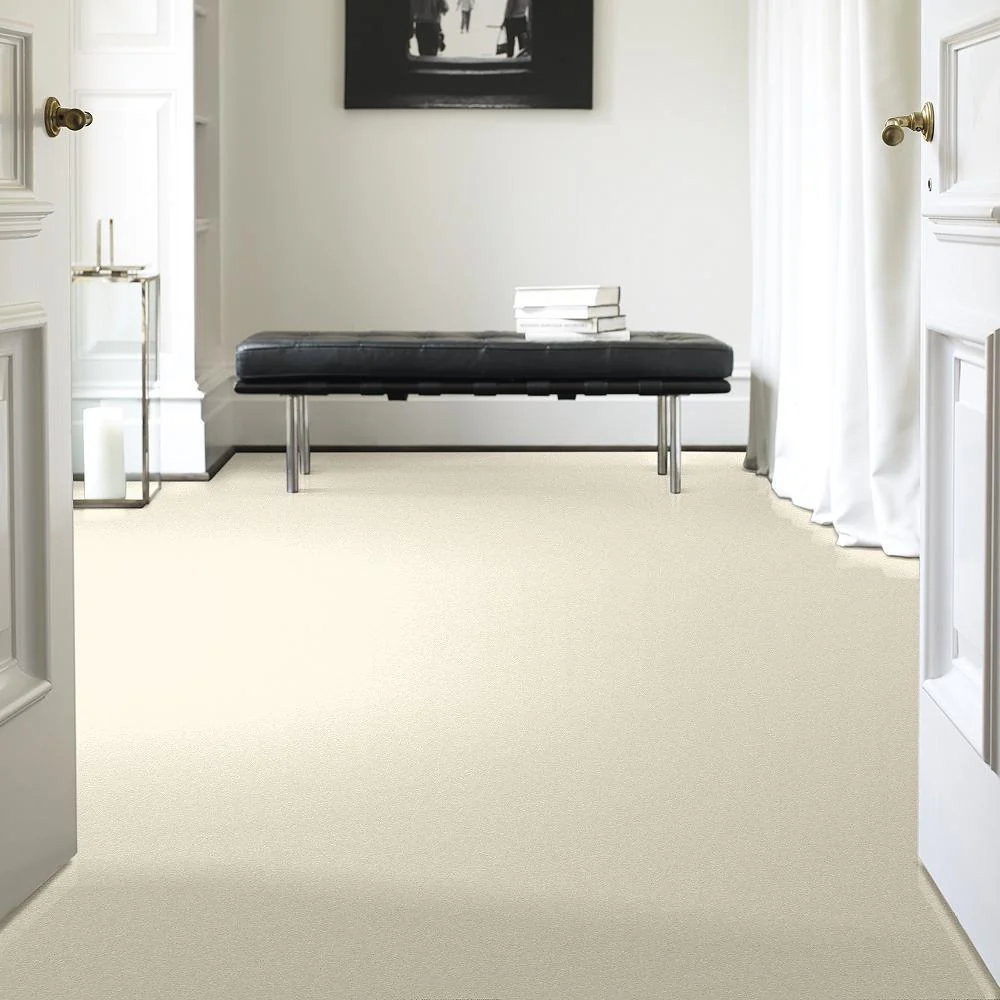 STAINMASTER PetProtect Baxter I Lucy Textured Indoor Carpet, 12-ft Roll Width - Image 2