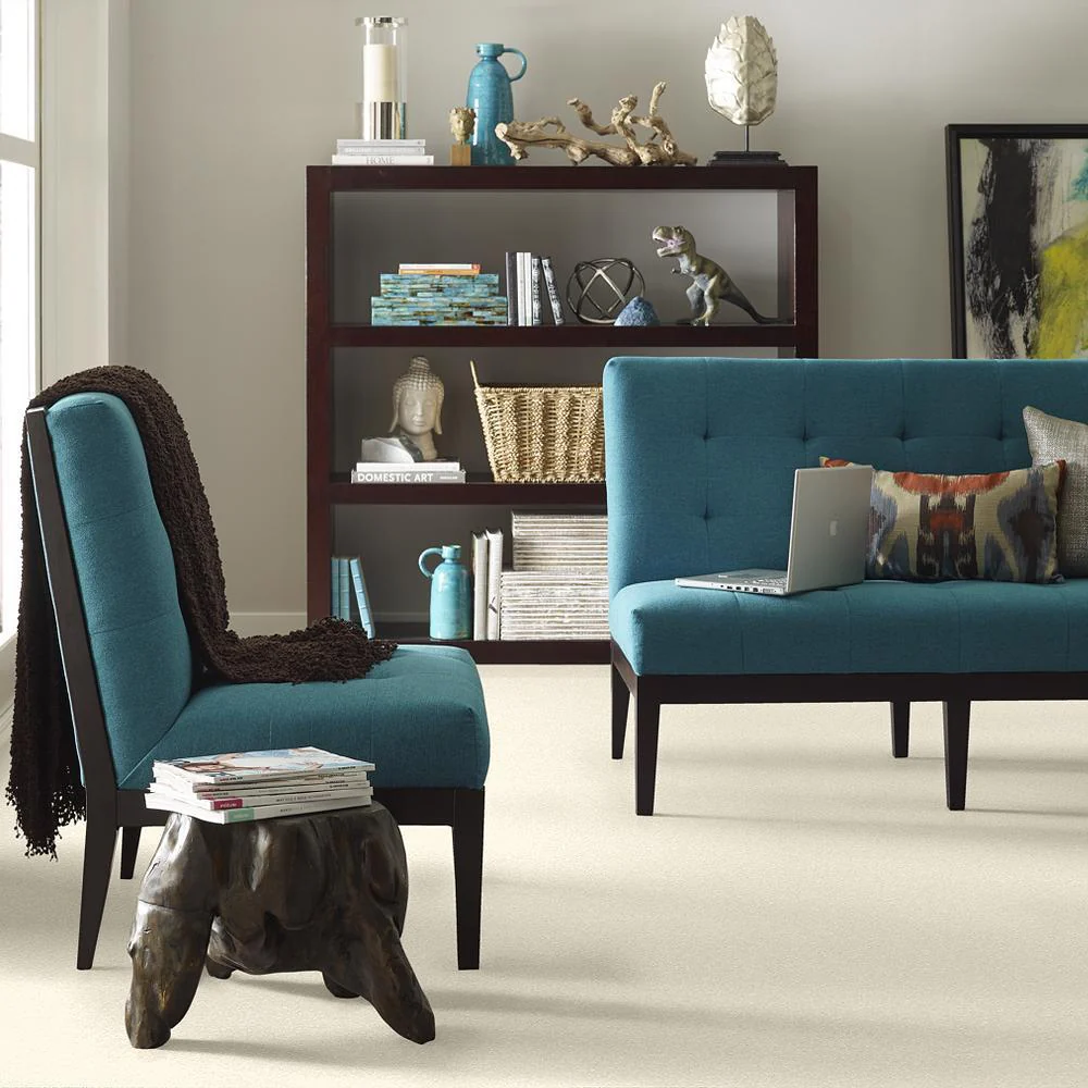 STAINMASTER PetProtect Baxter I Lucy Textured Indoor Carpet, 12-ft Roll Width - Image 4