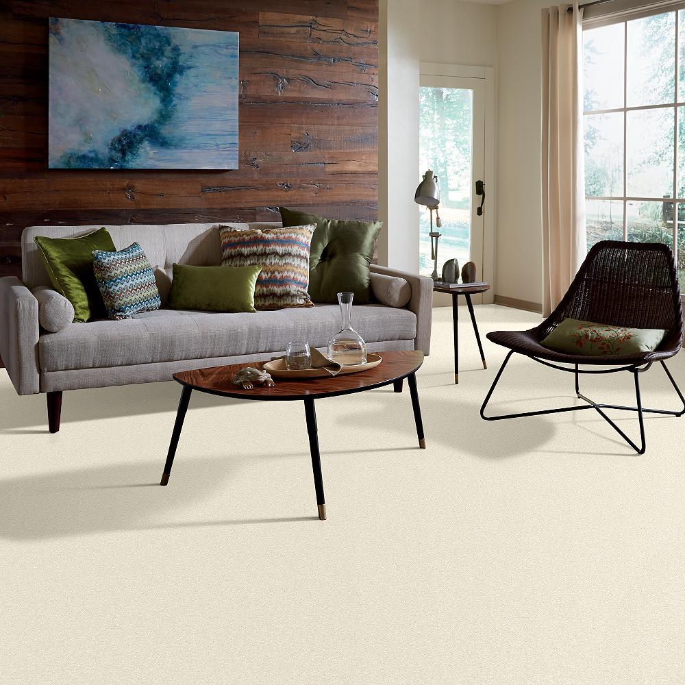 STAINMASTER PetProtect Baxter I Lucy Textured Indoor Carpet, 12-ft Roll Width - Image 5