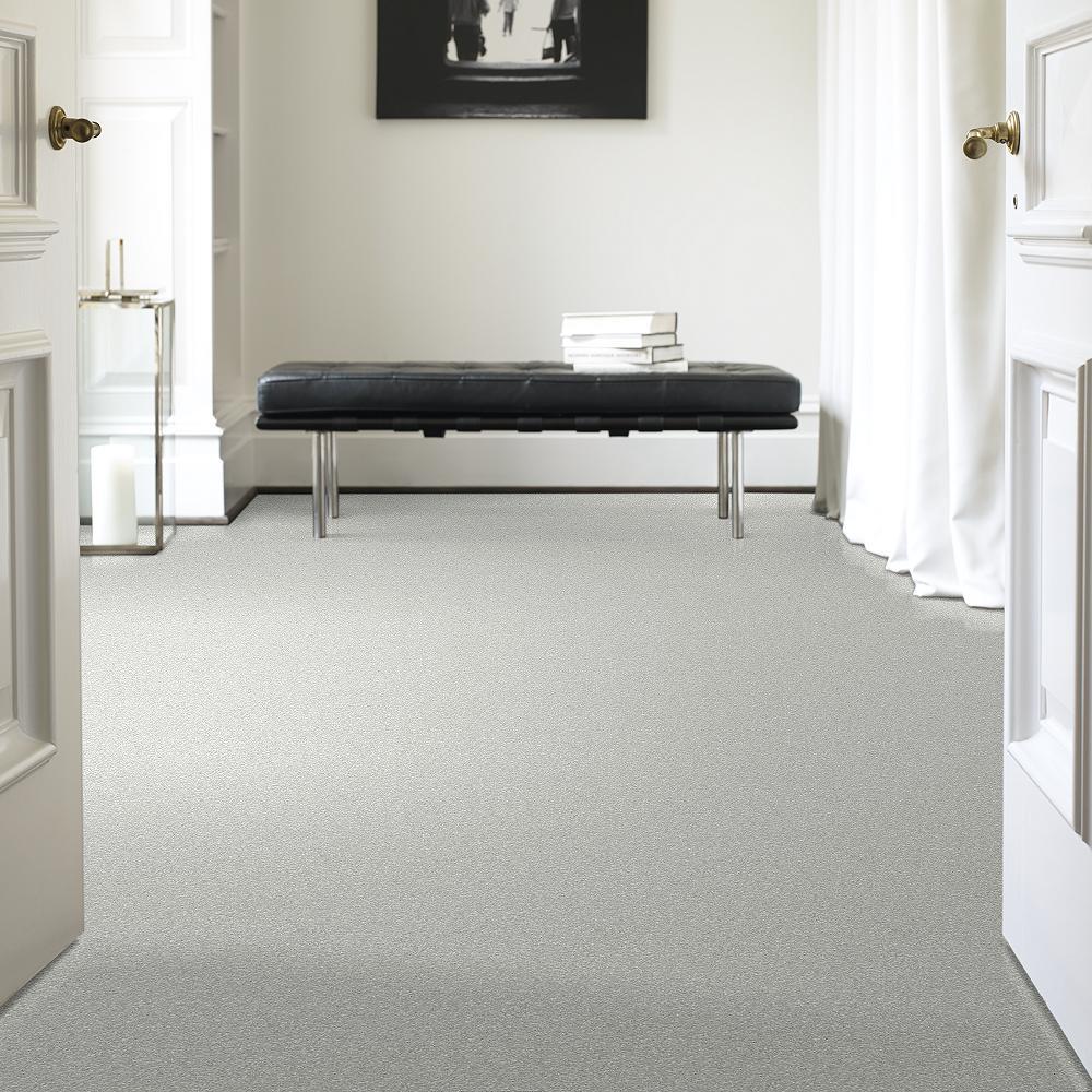 STAINMASTER PetProtect Baxter I Mac Textured Carpet (Indoor) — 12-ft Roll Width - Image 2