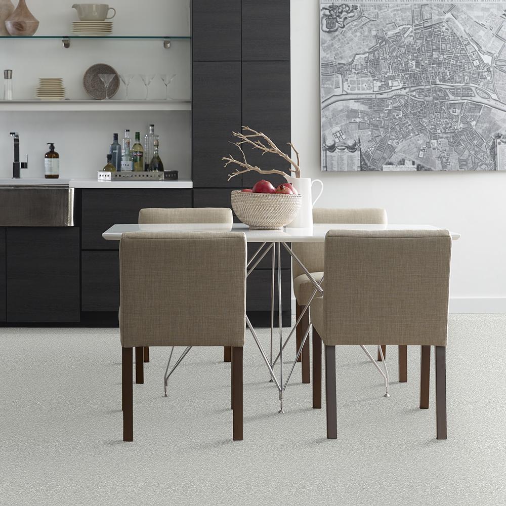 STAINMASTER PetProtect Baxter I Mac Textured Carpet (Indoor) — 12-ft Roll Width - Image 3