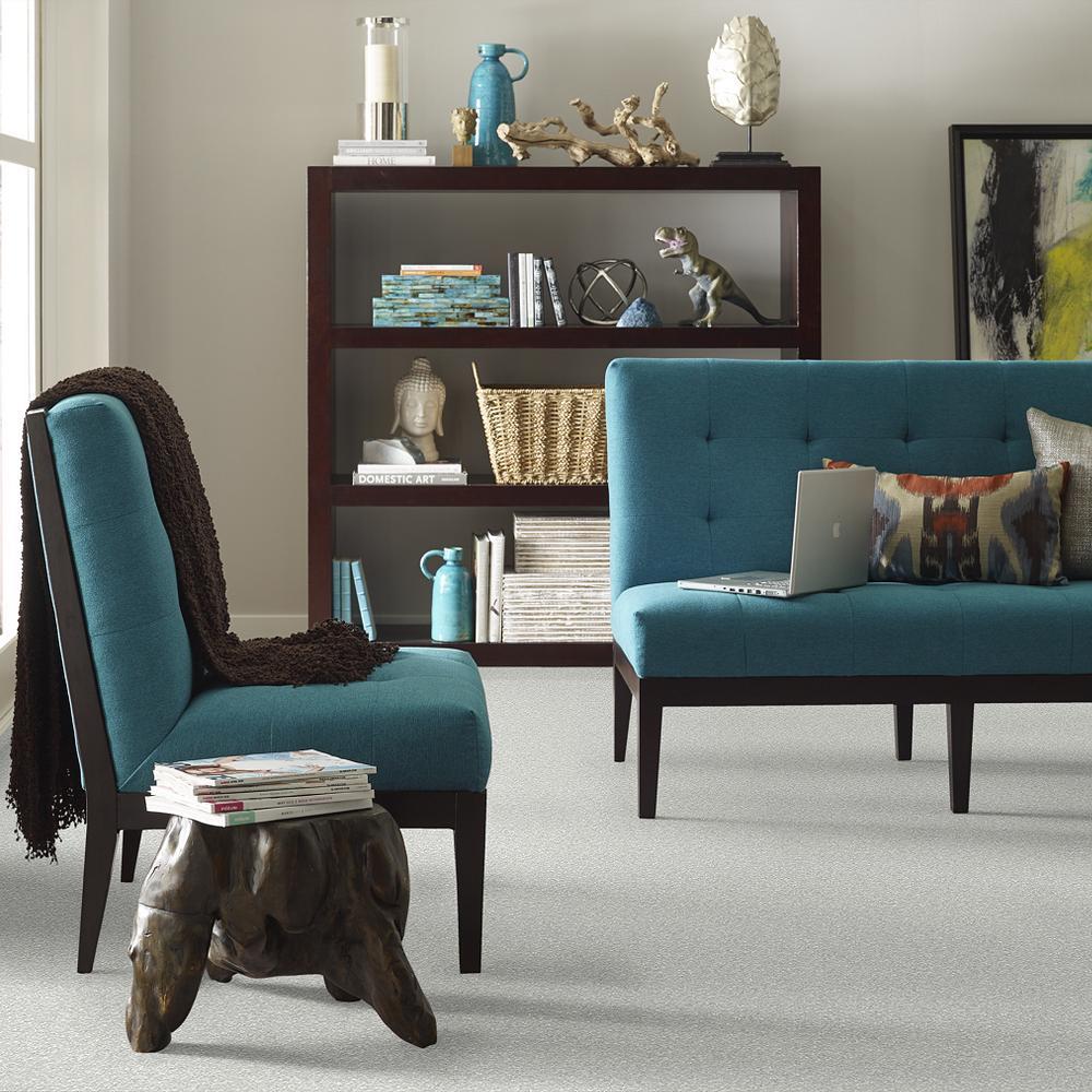 STAINMASTER PetProtect Baxter I Mac Textured Carpet (Indoor) — 12-ft Roll Width - Image 4