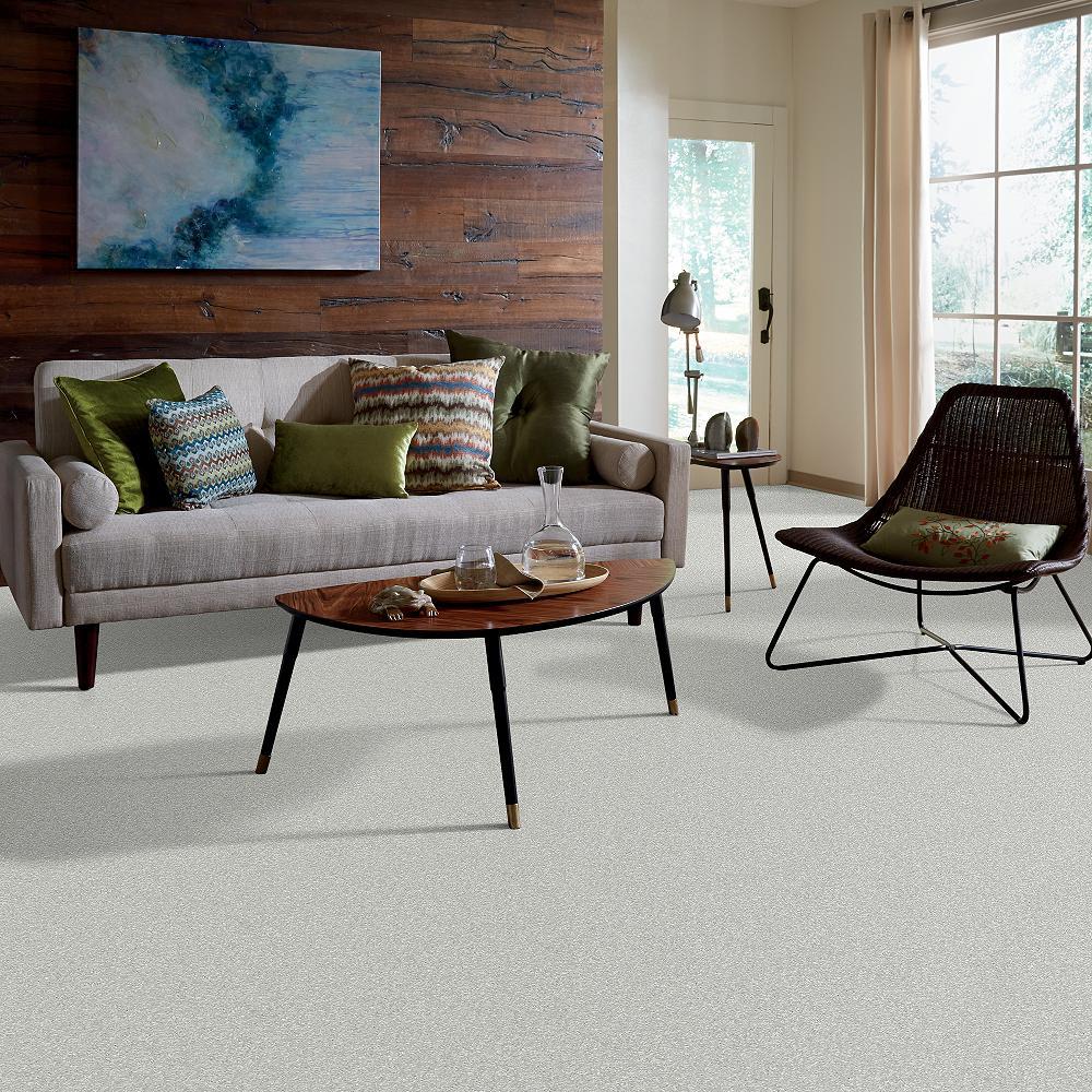 STAINMASTER PetProtect Baxter I Mac Textured Carpet (Indoor) — 12-ft Roll Width - Image 5