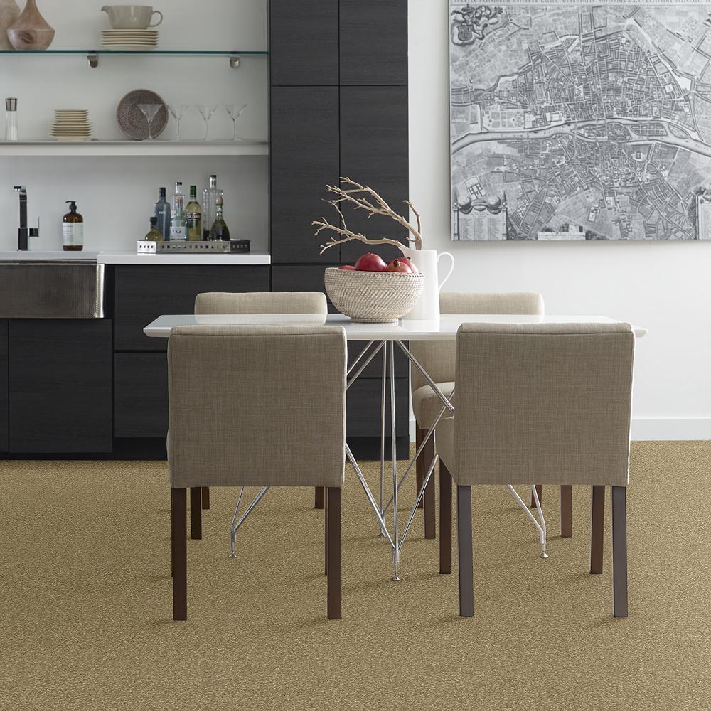 STAINMASTER PetProtect Baxter I Molly Textured Carpet (Indoor, 12-ft Roll Width) - Image 3